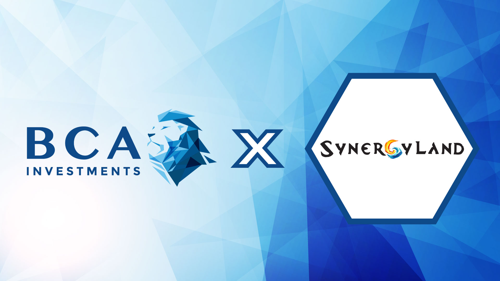 Partnership: Synergy Land x BCA investments