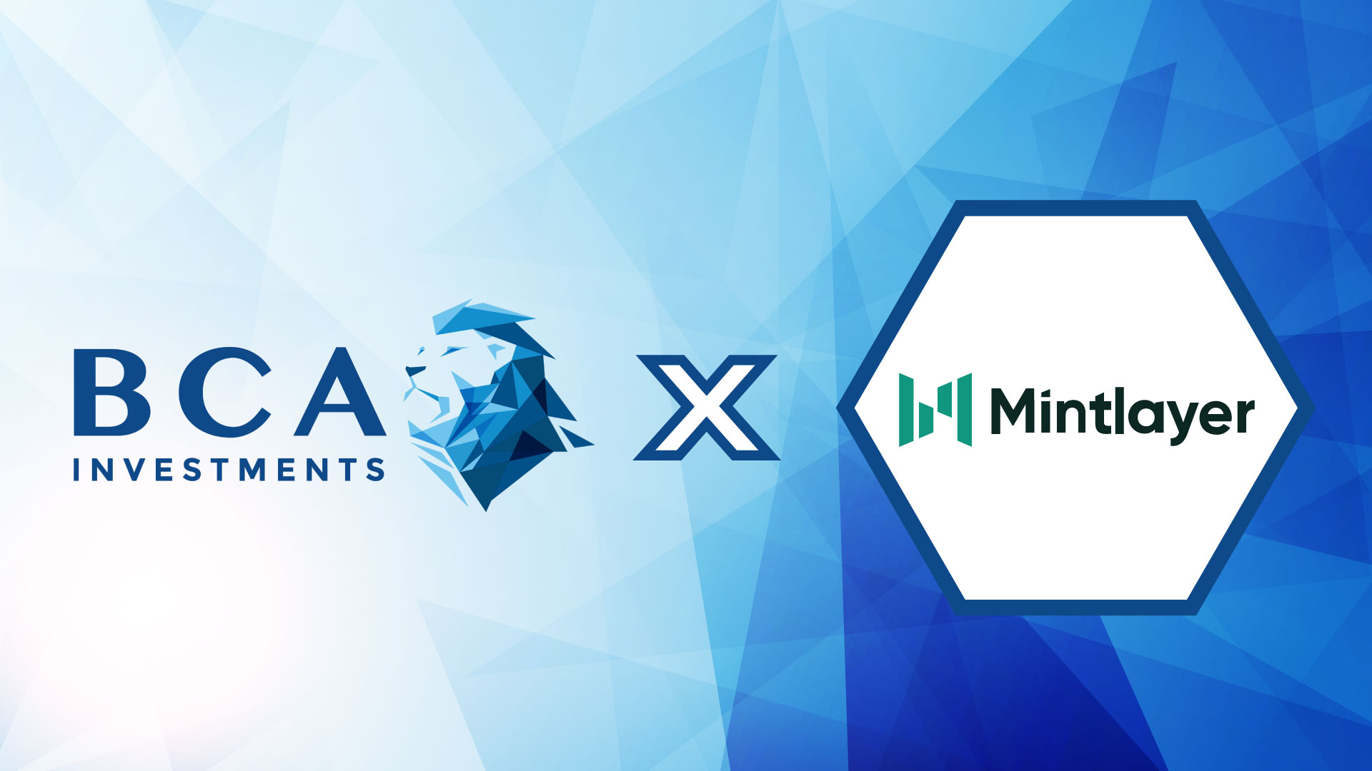 Partnership: Mintlayer x BCA investments