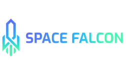 Space Falcon Logo